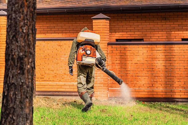 Trusted Mosquito Control service in Topton, PA - Nex Pest Control